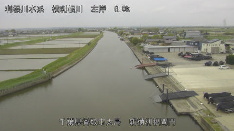 yoko2026042912_image