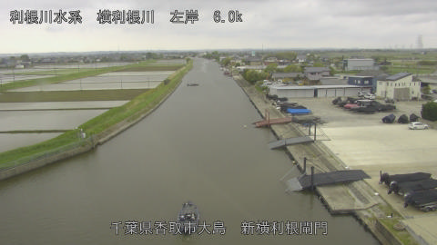 yoko2026042913_image