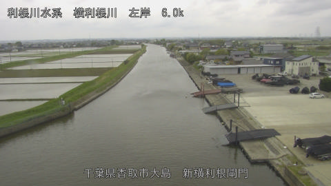 yoko2026042914_image