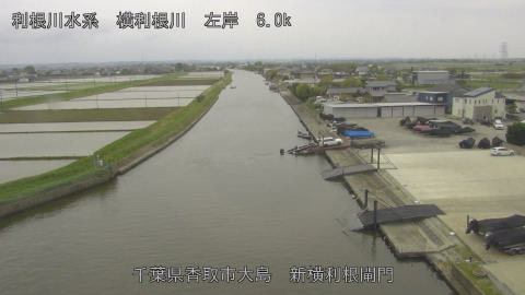 yoko2026042915_image