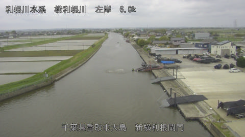 yoko2026042916_image