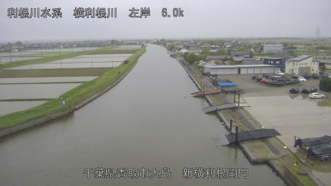 yoko2026042917_image