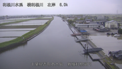 yoko2026042918_image