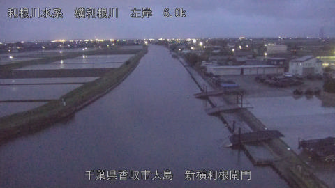 yoko2026042919_image