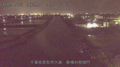 yoko2026042920_image