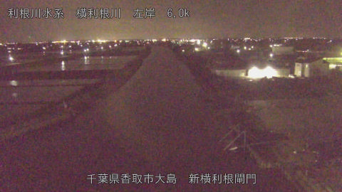 yoko2026042921_image