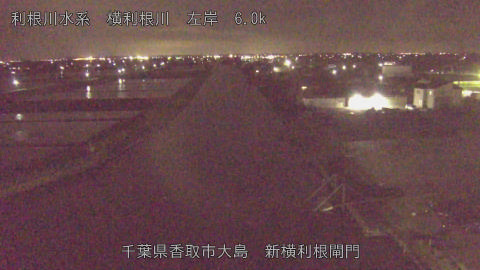 yoko2026042922_image