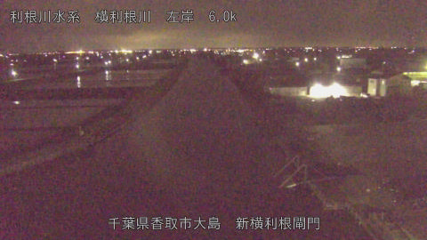 yoko2026042923_image