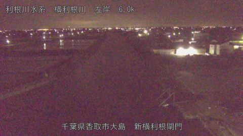 yoko2026043001_image