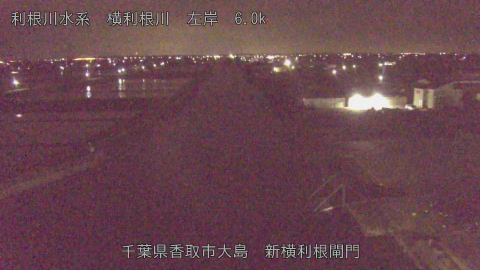 yoko2026043002_image