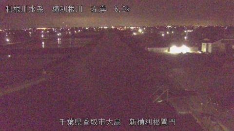 yoko2026043003_image