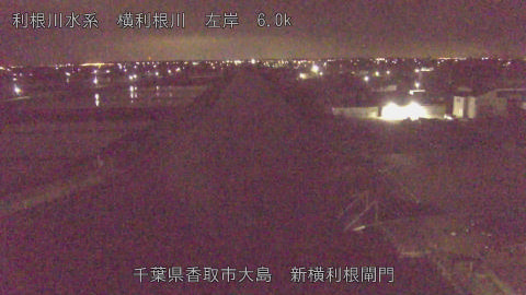 yoko2026043004_image