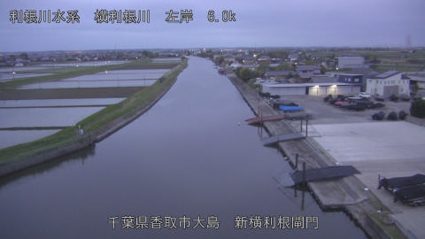 yoko2026043005_image