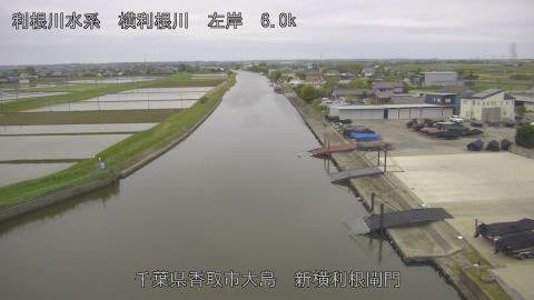 yoko2026043006_image