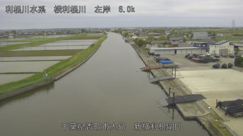 yoko2026043007_image