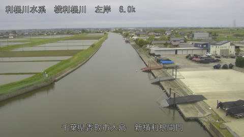 yoko2026043008_image