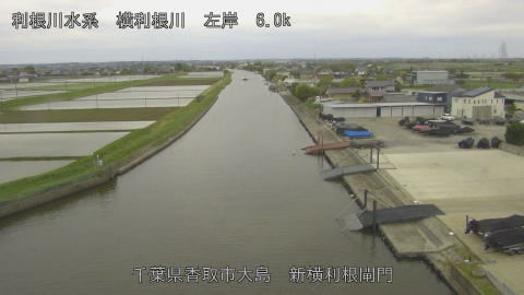 yoko2026043009_image