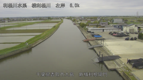 yoko2026043010_image