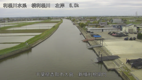 yoko2026043011_image