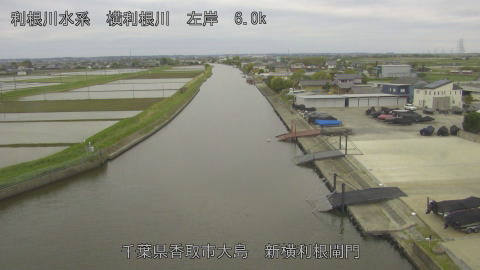 yoko2026043012_image