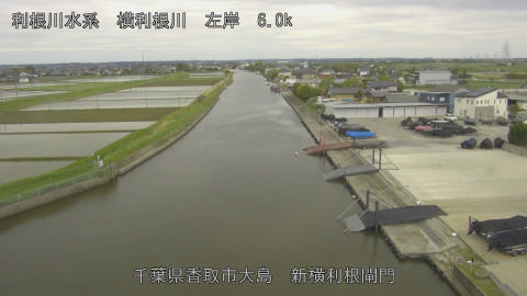 yoko2026043013_image