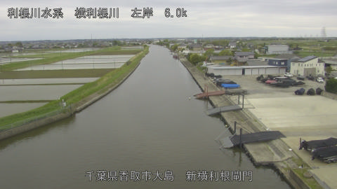 yoko2026043014_image