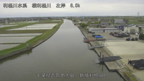 yoko2026043015_image