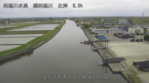 yoko2026043016_image