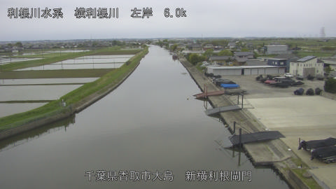 yoko2026043017_image