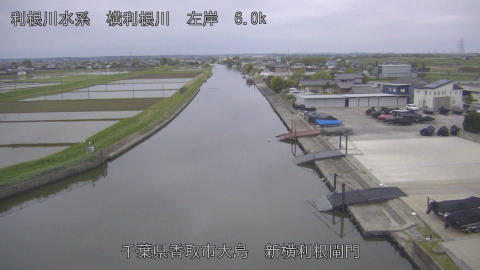 yoko2026043018_image