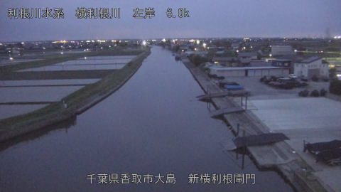 yoko2026043019_image