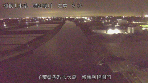 yoko2026043020_image