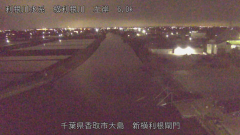 yoko2026043021_image