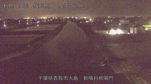 yoko2026043022_image