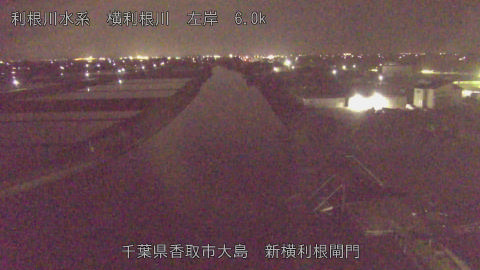 yoko2026043023_image