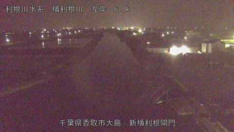 yoko2026050100_image