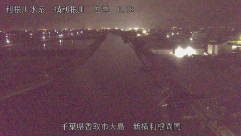 yoko2026050101_image