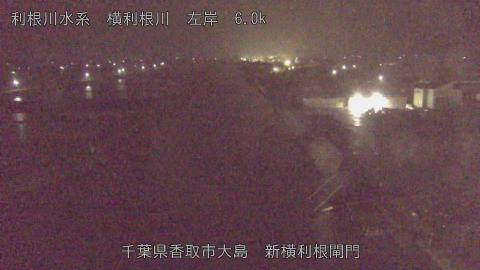 yoko2026050102_image