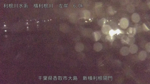 yoko2026050103_image