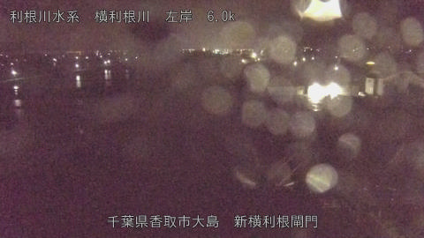 yoko2026050104_image