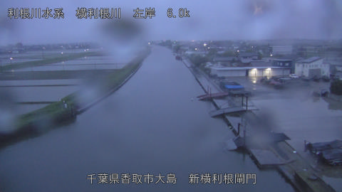 yoko2026050105_image