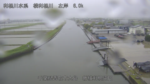 yoko2026050106_image