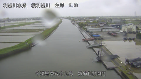 yoko2026050107_image