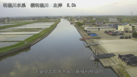 yoko2026050306_image