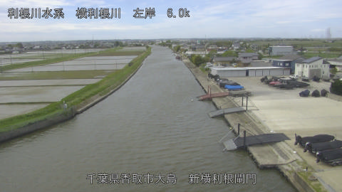 yoko2026050411_image