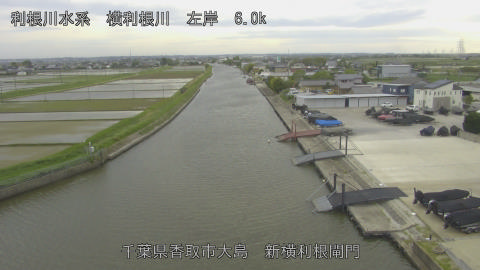 yoko2026050416_image