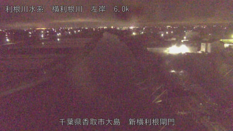 yoko2026050701_image