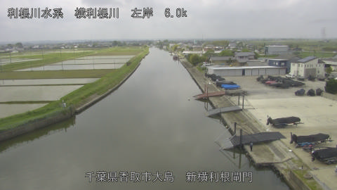 yoko2026050711_image