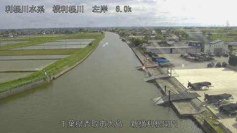 yoko2026050716_image