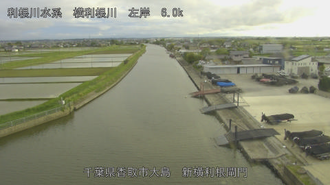 yoko2026050718_image